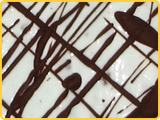 ミントチョコレート